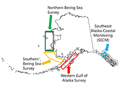SBS and SECM Survey areas.
