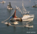 Commercial Seine boat