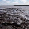 Debris from spring breakup along the sonar site's north shore.