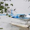 An airplane arrives weekly to pick up the genetic samples so they can be analyzed in a lab.