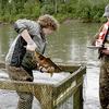 Technicians record data from a chum salmon.