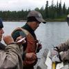 The Anvik River is believed to be the largest producer of summer chum salmon in the Yukon River drainage. Commercial and subsistence fishermen harvest Anvik River chum salmon in the Yukon River from the delta to the mouth of the Anvik River and within the first 12 miles of the Anvik River.