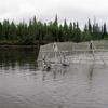 Technicians install a partial weir extending from the submerged sonar transducer to shore to prevent large fish from swimming behind the transducer where they cannot be detected.