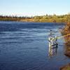 The Sheenjek River is a tributary of the Yukon River. ADF&G established a sonar site on the Sheenjek River to monitor the passage of chum salmon.