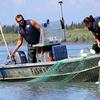 Because sonar cannot identify fish by species, the Kenai king salmon sonar site relies on inriver gillnet catches to determine how many of the sonar-detected fish should be counted as king salmon and how many should be counted as other species, such as sockeye.