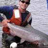 The Anchor River sonar and weir site was established to count king salmon, but in the fall the site’s weir is also used to count coho salmon.