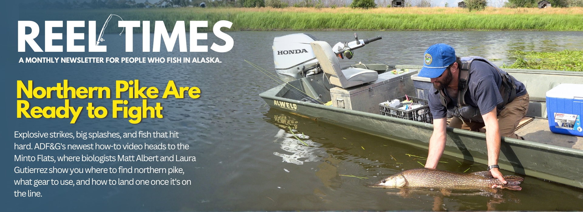Reel Times Newsletter Banner