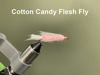 Cotton Candy fly