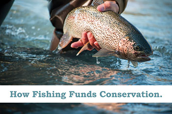 How fishing funds conservation