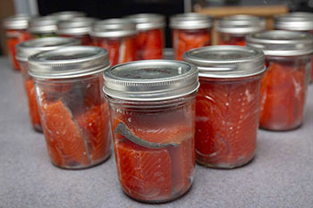 Canned Salmon