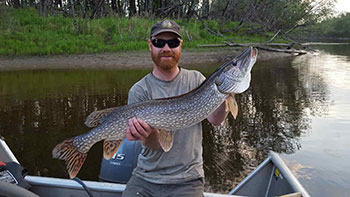 Northern Pike