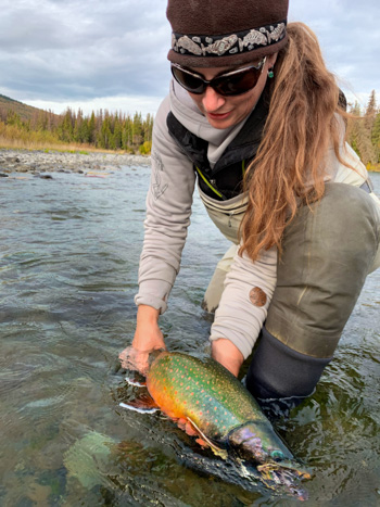 Caught Fish in water