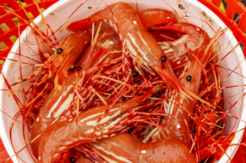 Shrimp