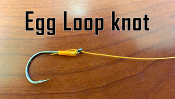 eggloop