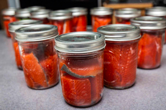 salmon
