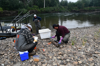 River - Alaska Department of Fish and Game (ADFG)