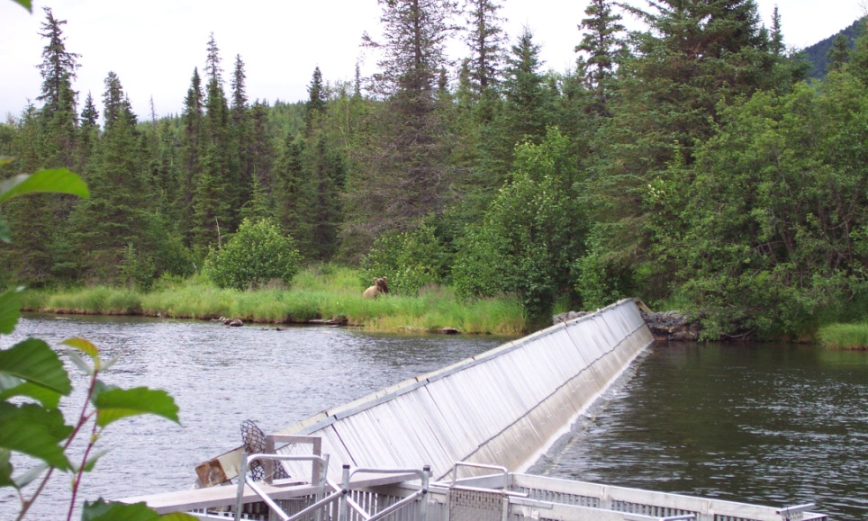 The Russian River weir near the outlet of Lower Russian Lake