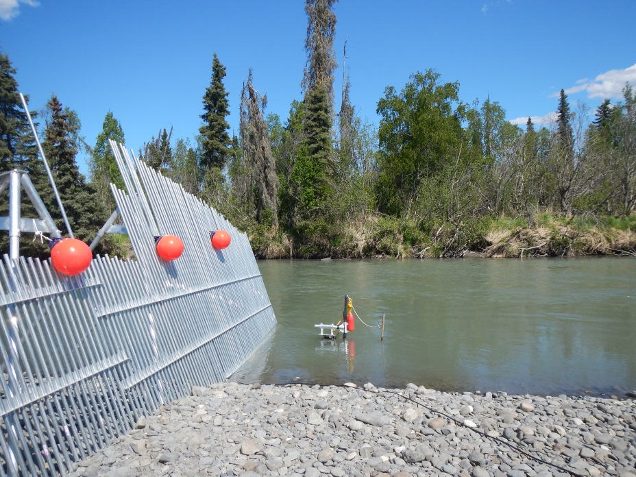 One of the five sonar transducers at the river mile 13.7 sonar site is placed in the channel behind the island