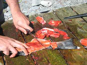 Cut Fish Carcass