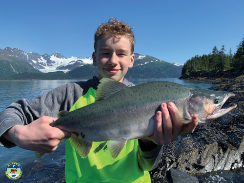 Saltwater Boat Fishing Rods - Fish Alaska Magazine