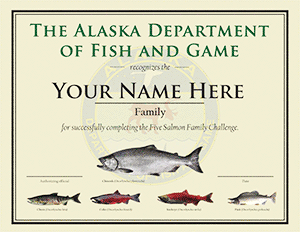 5 Salmon Family certificate