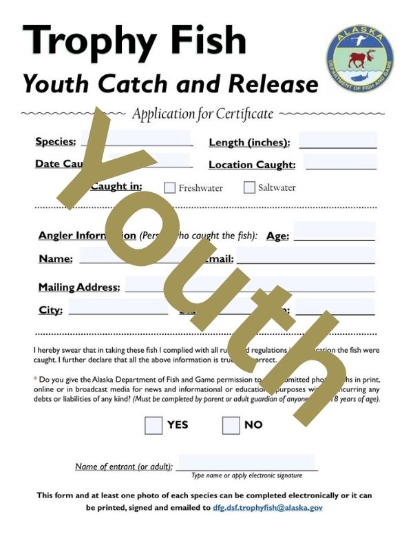 Preview of Youth Trophy Fish Catch and Release Affidavit