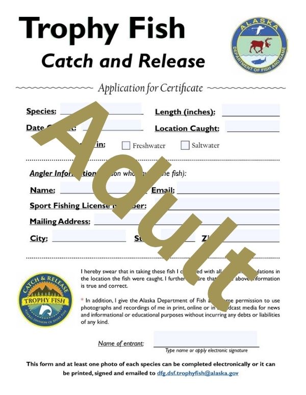 Preview of Adult Trophy Fish Catch and Release Affidavit