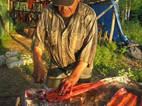 Resident of Nikolai cuts Kuskokwim caught fish before hanging and drying.