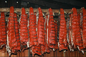 Salmon drying