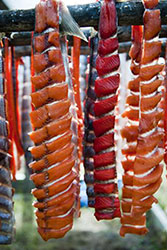 Salmon drying on a rack