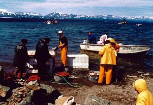 fishermen on the beach