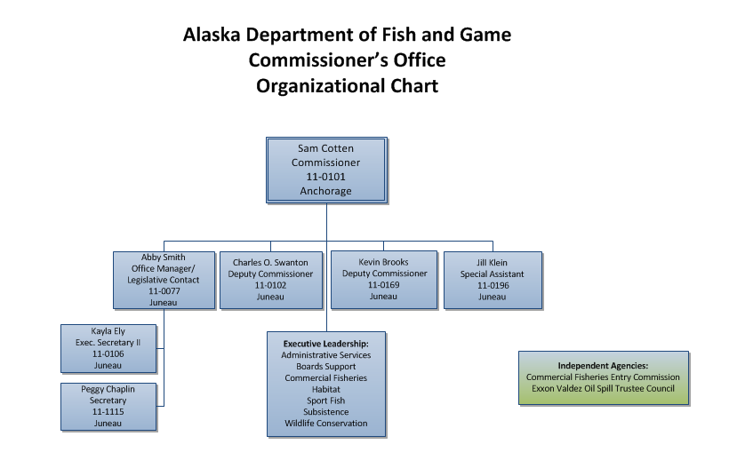 General Organizational Chart of the Commissioner's Office