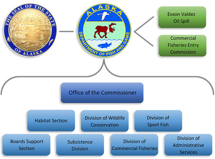 department organizational chart