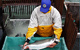 salmon measuring