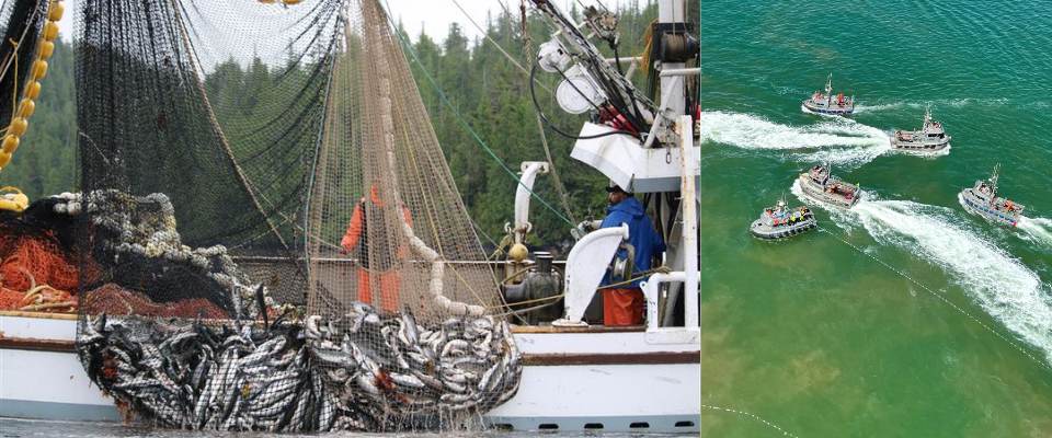 Boats in the water and Commericial Fishing - Alaska Department of Fish and Game