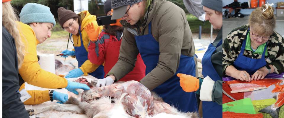 Deer skinning and woman filleting fish - Alaska Department of Fish and Game
