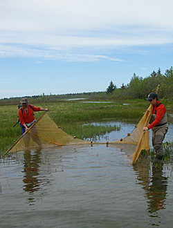 Photo of a intern working in Alaska