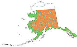 PNorthern Hawk-Owl range map