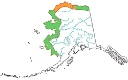 Snowy Owl range map