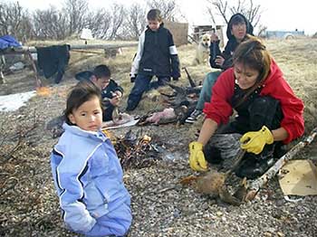 Family processing duck harvest, Valerie Engebretsen 2008