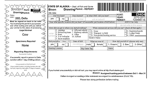 Bison Drawing Permit