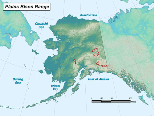 Bison range map