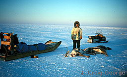 Photo of a successful Caribou hunter.