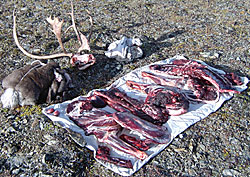 Preparing meat in the kitchen