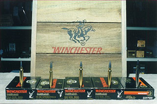 Photo of ammunition