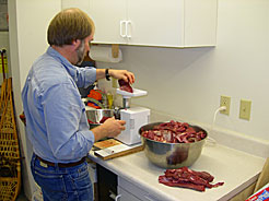 Can Dogs Eat Bear Meat