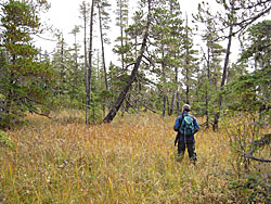 Photo of a man in the woods.