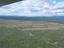 Roller chopper, aerial view