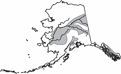 Range map of Ruffed Grouse in Alaska