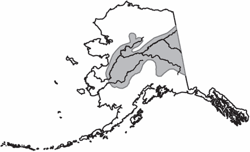 Range map of Sharp-Tailed grouse in Alaska